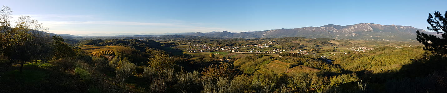 View of Mountain Covered With Trees thumbnail