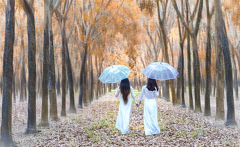 two women walking under umbrellas thumbnail