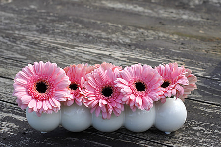 five pink petal flowers in white ceramic vases thumbnail