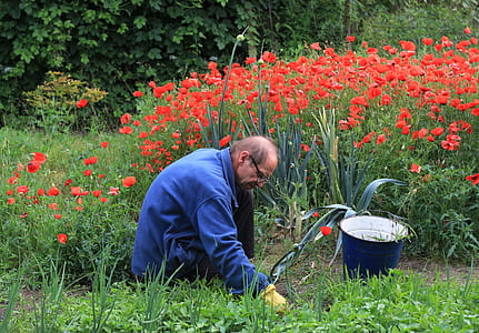 man kneeling planting flowers thumbnail