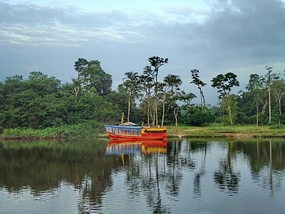 Gayana, The River Demerara thumbnail