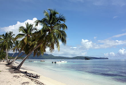 palm trees on seashore and boat at distance thumbnail