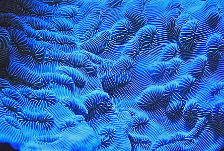 blue textile thumbnail