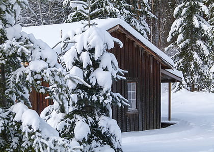 brown wooden house covered with snow during winter thumbnail