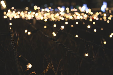lit yellow string lights selective focus photography thumbnail