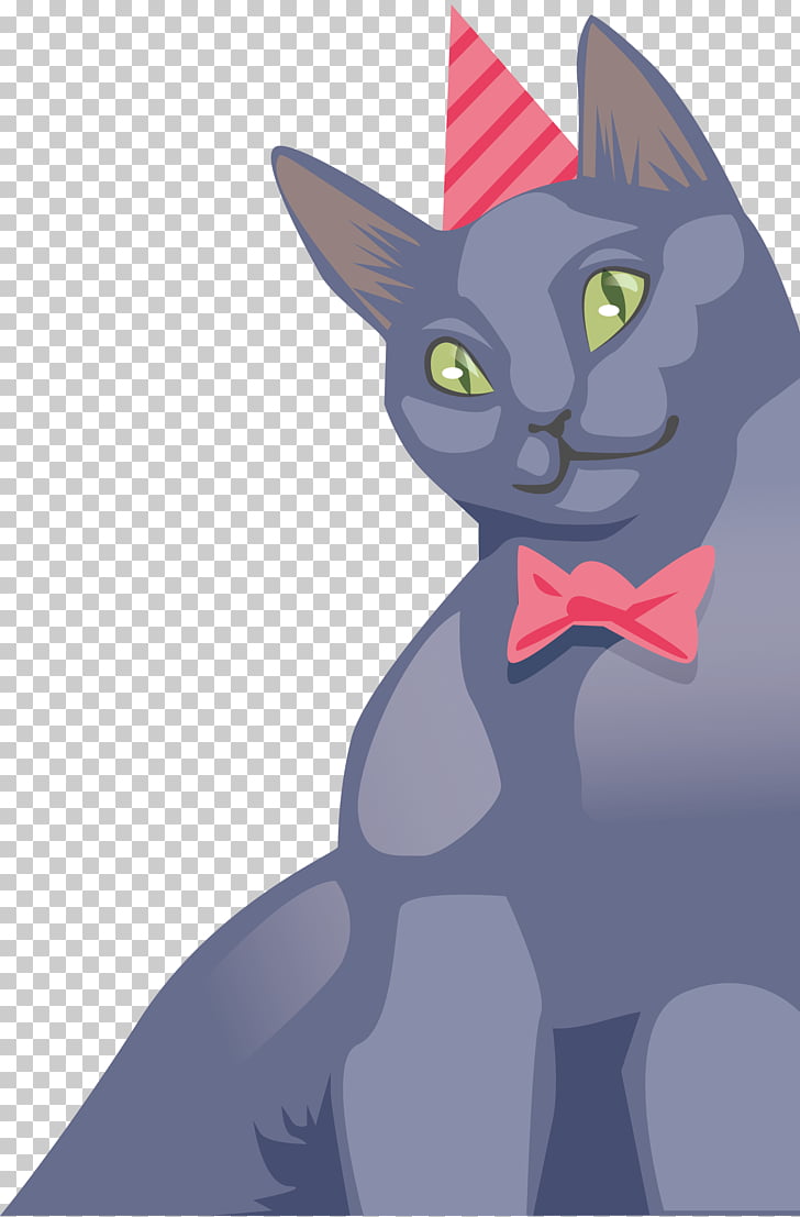 Korat Russian Blue Kitten Whiskers Domestic Short Haired Cat