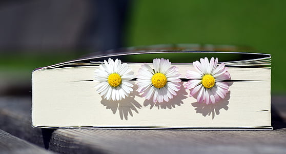 white wooden decor and plastic flowers thumbnail