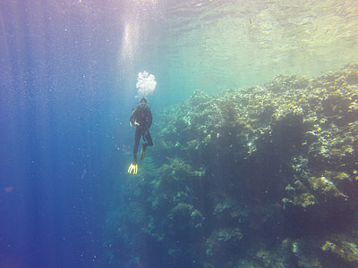 person diving underwater thumbnail