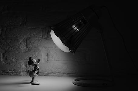 Grayscale Photography of Donald Duck in Front of Lamp thumbnail