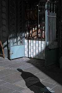 blue steel double door gate thumbnail