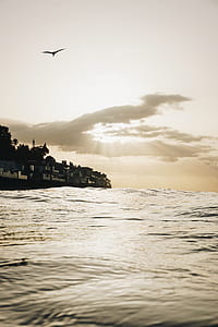 sepia photo of buildings near body of water thumbnail