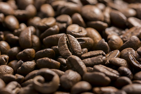selective focus photography of coffee beans thumbnail