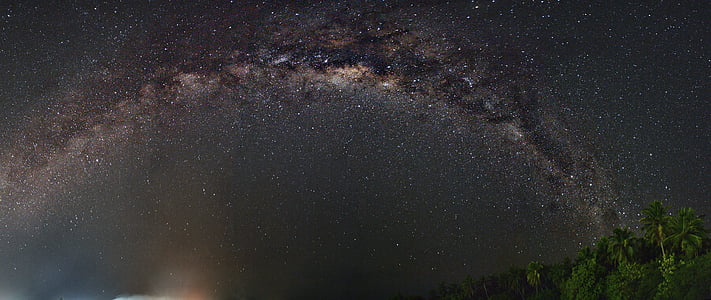 green leaf tree under stars during nighttime thumbnail
