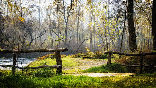 brown handrails near green grass during daytime thumbnail