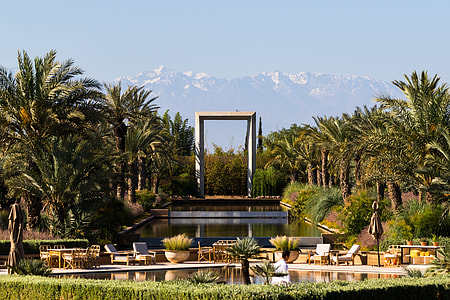 concrete monument surrounded by palm trees thumbnail