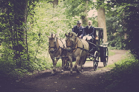 Two Man On A Carriage With Horse thumbnail