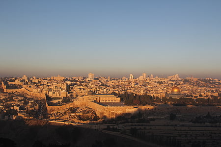 aerial photography of buildings with mosque at daytime thumbnail