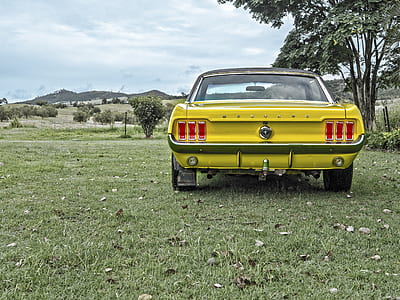 photography of classic yellow Ford Mustang thumbnail