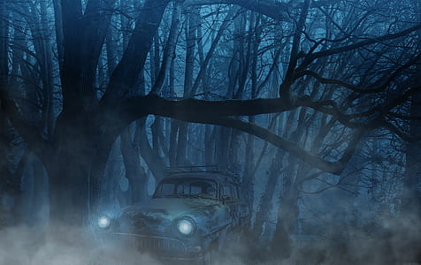 vehicle parked under tree taken during thumbnail