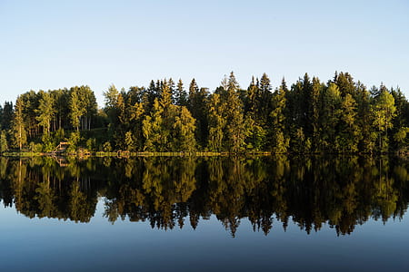 skyline of trees across body of water at daytime thumbnail