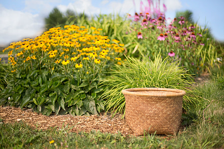 beige wicker basket on grass field beside yellow flowers during daytime thumbnail