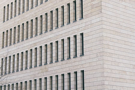 gray concrete building beside withered tree thumbnail