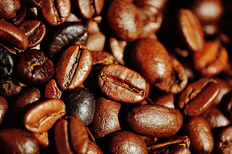 coffee beans thumbnail