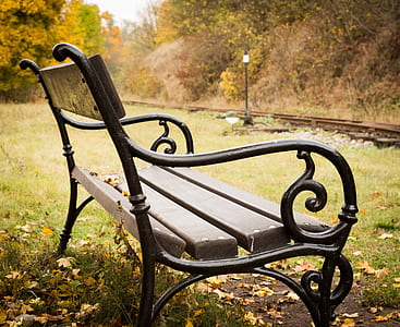 gray bench surrounded with trees thumbnail