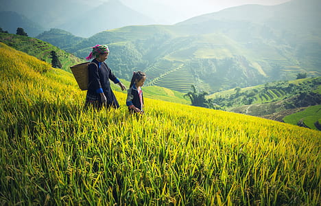 woman and girl walking on rice field thumbnail