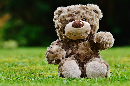 brown bear plush toy on the green grass field thumbnail