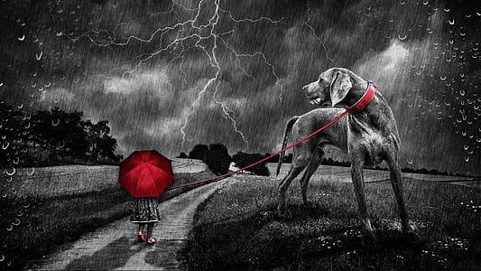 selective color photography of girl walking on road holding red umbrella with leashed great dane painting thumbnail