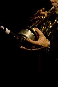 person holding brass musical instrument thumbnail