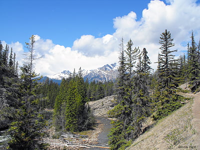 photo of river between trees near mountain under blue and white sky at daytime thumbnail