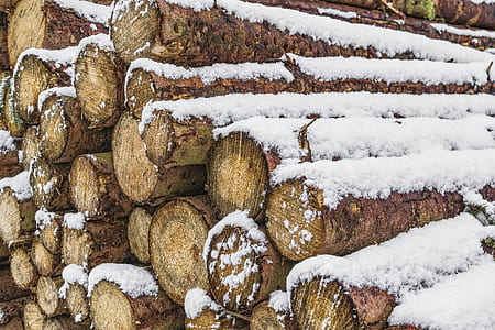 snow-covered brown tree log lot thumbnail