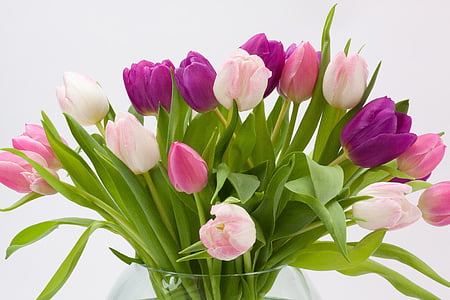tulips flower arrangement thumbnail