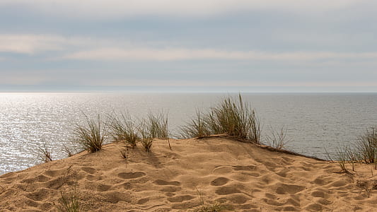 beach sand and grass next to body of water thumbnail