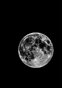 selective focus photography of full moon thumbnail