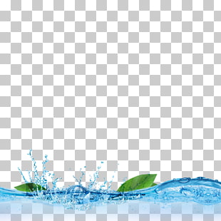 Lighting Water Aquarium Ultraviolet, The effect of water elements, leaves with water and splash PNG clipart