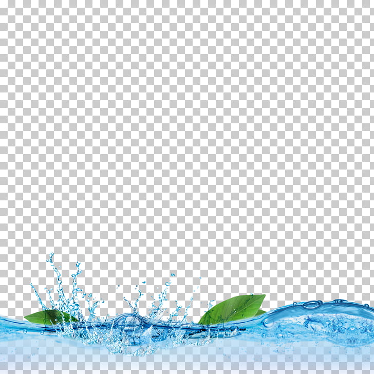 Lighting Water Aquarium Ultraviolet, The effect of water elements, leaves with water and splash PNG clipart