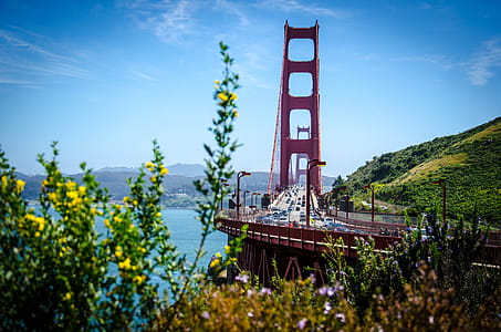 Golden Gate Bridge, San Francisco thumbnail