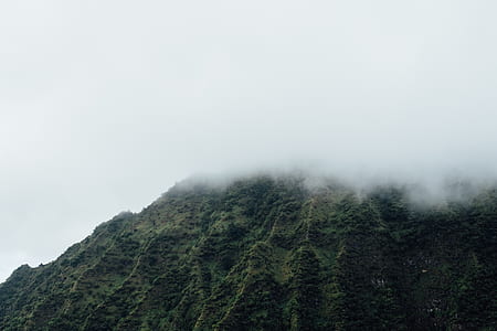 green mountain coated with fogs thumbnail