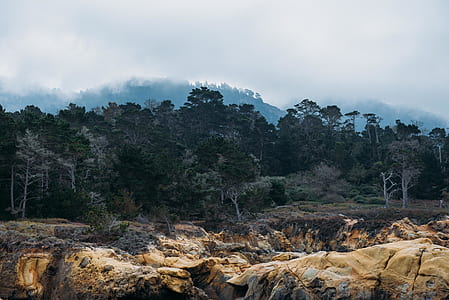 rock formation beside forest thumbnail