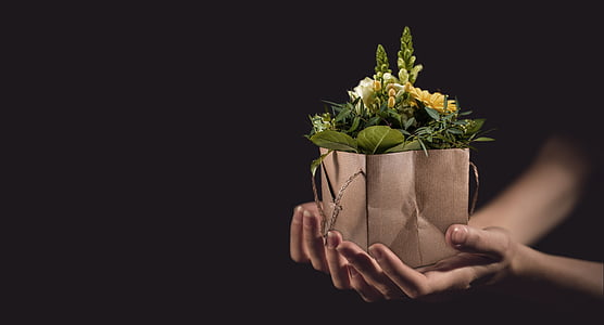 person holds brown paper bag with flower plants thumbnail