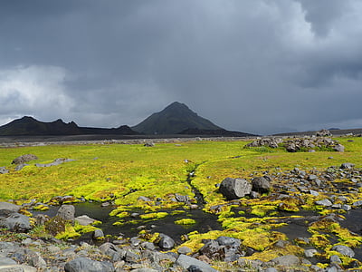 green grass field under gray sky thumbnail