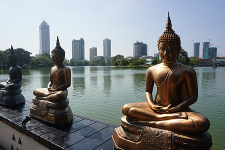 Gautama Buddha statues on fence thumbnail