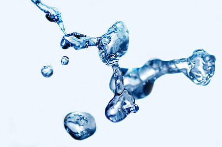 time lapse photography of water dew thumbnail