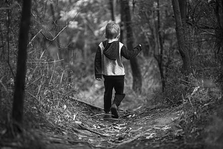grayscaled photo of boy walking in middle of trees thumbnail
