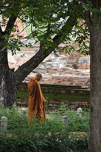 monk beside the tree thumbnail