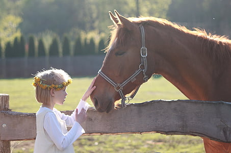 girl wearing white long-sleeved shirt holding brown horse nose thumbnail