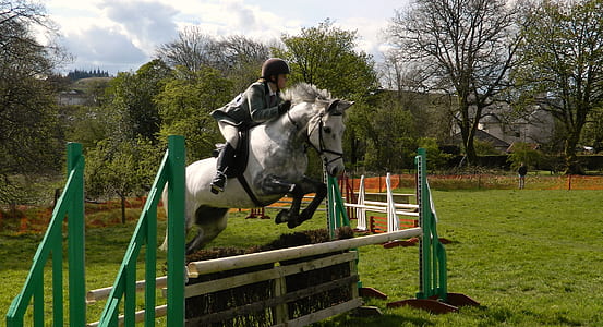 time lapse photography of person riding horse jumps on wood thumbnail